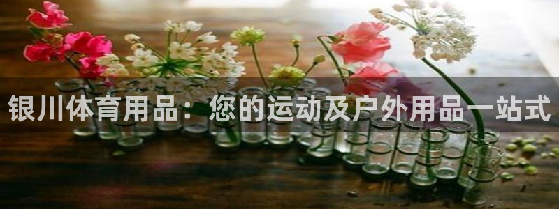 欧陆娱乐登录官网下载：银川体育用品：您的运动及户外用