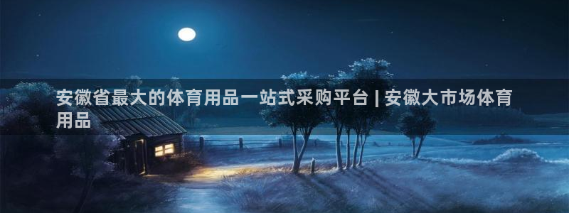 欧陆娱乐平台登陆地址在哪：安徽省最大的体育用品一站式