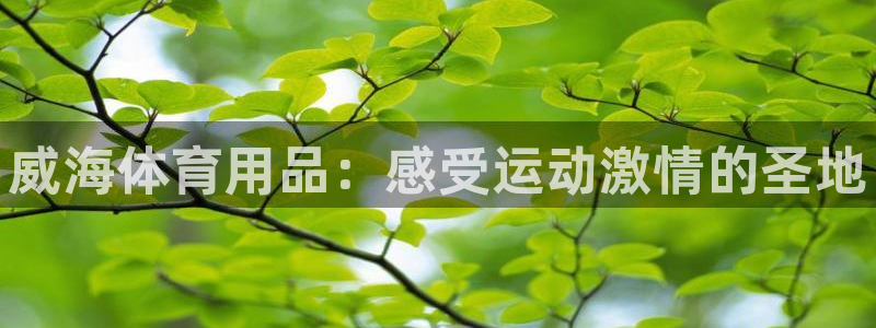 欧陆娱乐打什么方案赚钱